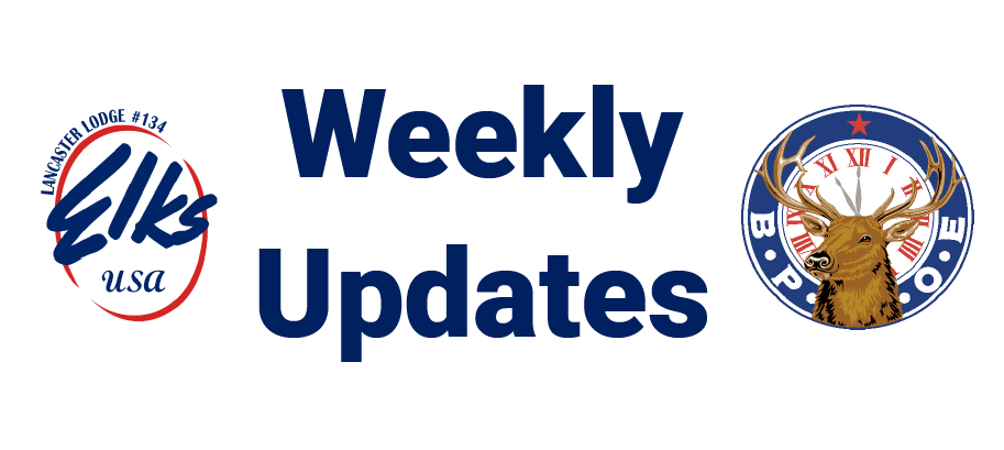 Weekly Updates 5/22/24